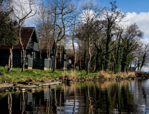 Mit Hund und Herz: Irland-Urlaub mit Wau-Faktor