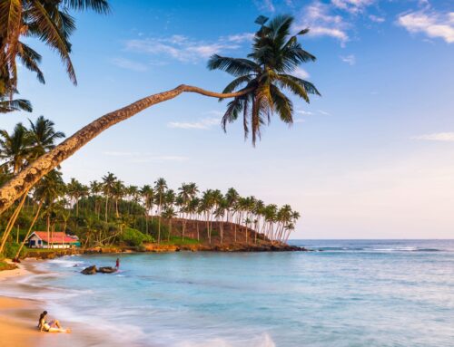 Traumreiseziel Sri Lanka – Mehr als ein klassisches Reiseziel